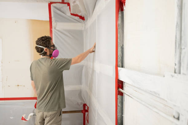 Best Water Damage & Mold Remediation  in Mechanicstown, NY